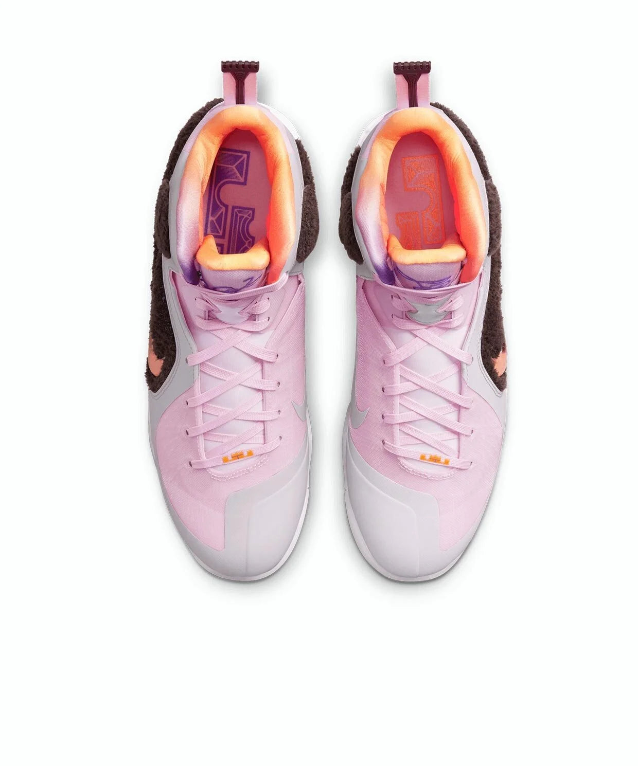 Nike LeBron IX