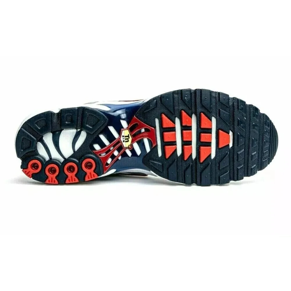 Nike Air Max Plus Euro Tour