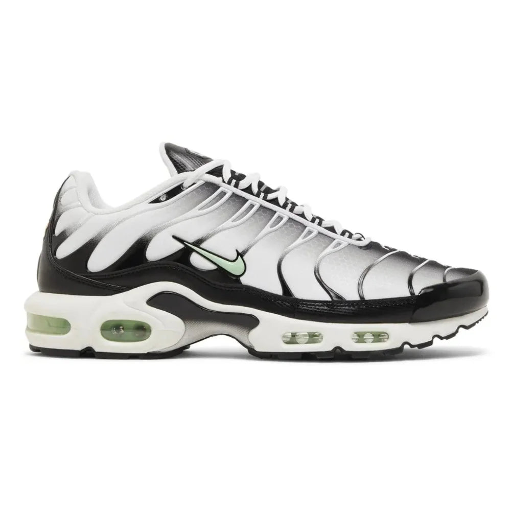 Nike Air Max Plus Seafoam